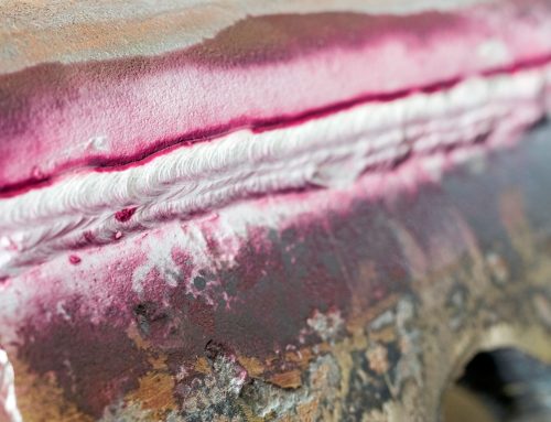 Enim dolorem ipsa non aut